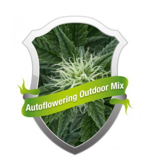 Autoflowering Outdoor Mix 3 ks fem. 